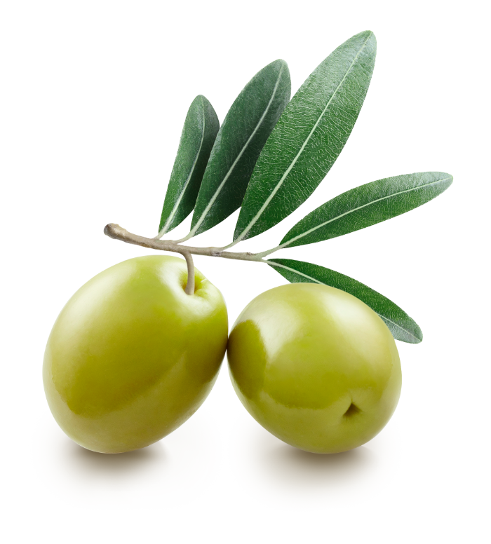 filière La Filière Olive