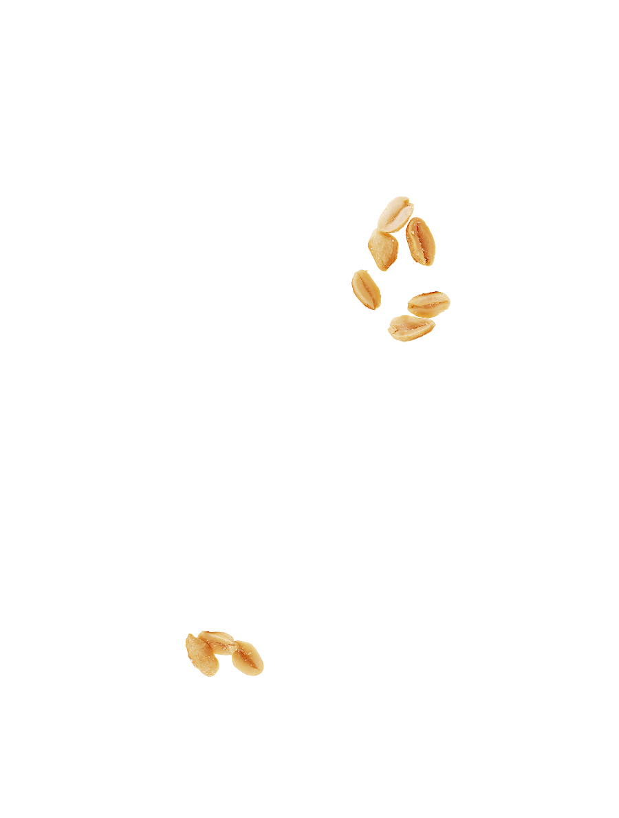 Cacahuètes grillées & salées Menguy's 40g