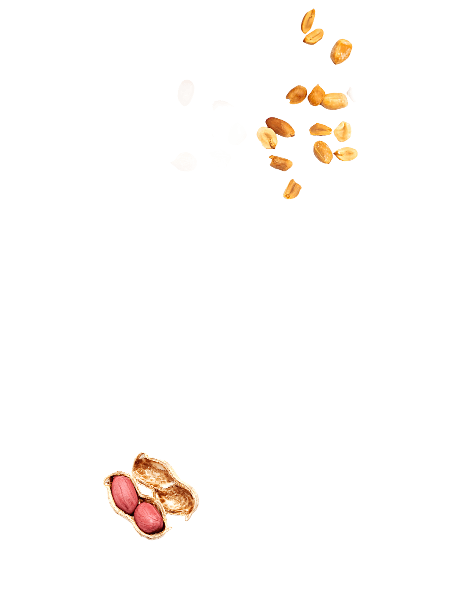 Cacahuètes grillées non salées